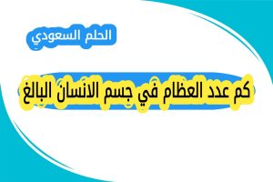 كم عدد العظام في جسم الانسان البالغ