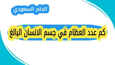 كم عدد العظام في جسم الانسان البالغ