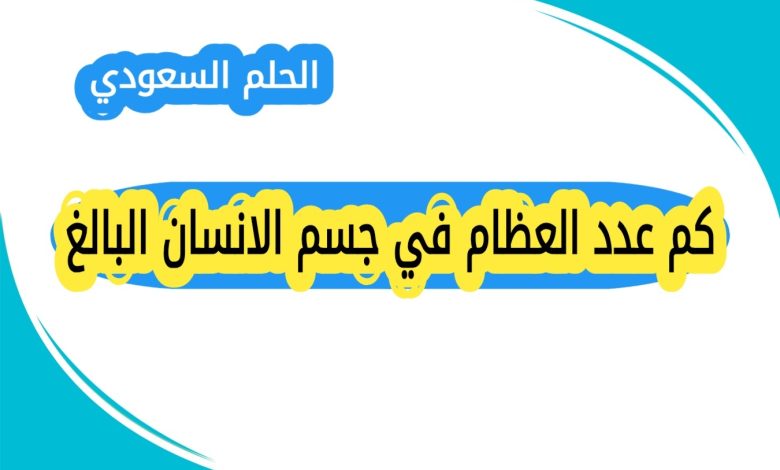 كم عدد العظام في جسم الانسان البالغ