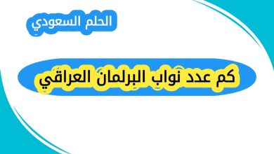 من هي ياسمينا العبد؟