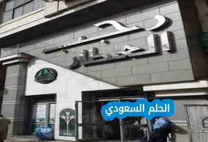 كم عدد فروع ستيف مادن جدة