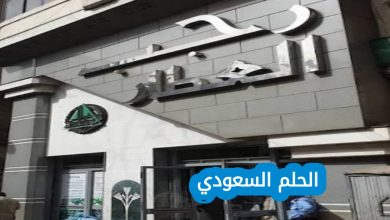 كم عدد فروع ستيف مادن جدة