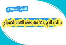 ما الجزء الذي يحدث فيه معظم الهضم الكيميائي