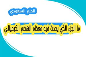 ما الجزء الذي يحدث فيه معظم الهضم الكيميائي