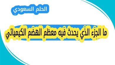 ما الجزء الذي يحدث فيه معظم الهضم الكيميائي