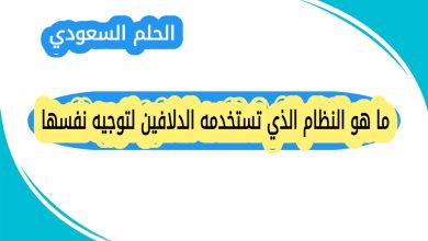 ما هو النظام الذي تستخدمه الدلافين لتوجيه نفسها