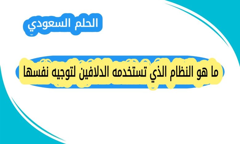 ما هو النظام الذي تستخدمه الدلافين لتوجيه نفسها