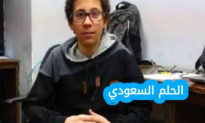 محمود وائل الطفل العبقري ويكيبيديا