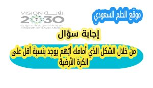 من خلال الشكل الذي أمامك أيّهم يوجد بنسبة أقل على الكرة الأرضية