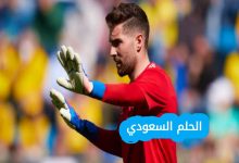 لوكا زيدان ويكيبيديا