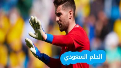 لوكا زيدان ويكيبيديا