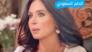 السيرة الذاتية لسيدة الأعمال دينا طلعت