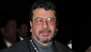 ربيع شهاب ويكيبيديا السيرة الذاتية