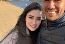 محمود تريزيجيه: نبذة سريعة