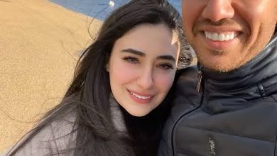 محمود تريزيجيه: نبذة سريعة