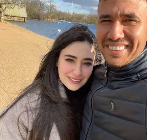 محمود تريزيجيه: نبذة سريعة