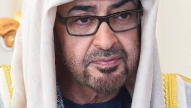 محمد بن زايد ويكيبيديا