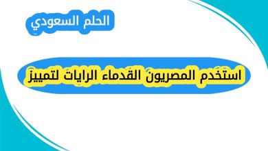استخدم المصريون القدماء الرايات لتمييز