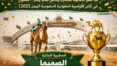 ما هو فوز المطية في كأس ثنايا بكار مفتوح ضمن كأس الأولمبية السعودية للهجن 2025؟