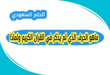 الحرف الذي لم يذكر في القرآن, الحرف الذي لم يذكر في أسماء سور القرآن, حرف الظاء في القرآن الكريم, لماذا لم يذكر حرف الظاء في أسماء السور, أسماء سور القرآن بدون حرف الظاء, ما هو الحرف الذي لم يذكر في أسماء سور القرآن الكريم, سبب عدم وجود حرف الظاء في أسماء السور, هل حرف الظاء مذكور في القرآن, عدد السور التي ورد فيها حرف الظاء, أسرار حروف القرآن الكريم, إعجاز القرآن اللغوي في الحروف, بلاغة القرآن الكريم, ترتيب سور القرآن, أسماء سور القرآن الكريم, علوم القرآن, الحروف العربية في القرآن, تكرار الحروف في القرآن, لماذا لم يذكر حرف الظاء في أسماء سور القرآن؟, هل يوجد حرف غير مذكور في القرآن؟, كم مرة ورد حرف الظاء في القرآن؟, ما هو أندر حرف في القرآن الكريم؟