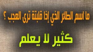 من هو وما هو اسم الطائر الذي اذا قلبته ترى عجب؟