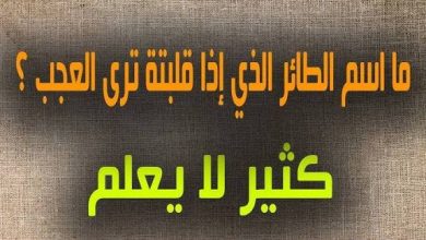 من هو وما هو اسم الطائر الذي اذا قلبته ترى عجب؟