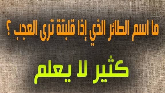 من هو وما هو اسم الطائر الذي اذا قلبته ترى عجب؟