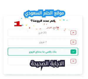 اكتشف الإجابة على سؤال فوازير اليوم: كم عدد فروعنا؟ تعرف على الحل الصحيح وأهم المعلومات عن البنك الرقمي الذي لا يحتاج إلى فروع فعلية
