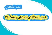 ما معنى كلمة "أبًّا" في قوله تعالى: "وفاكهةً وأبًّا"؟