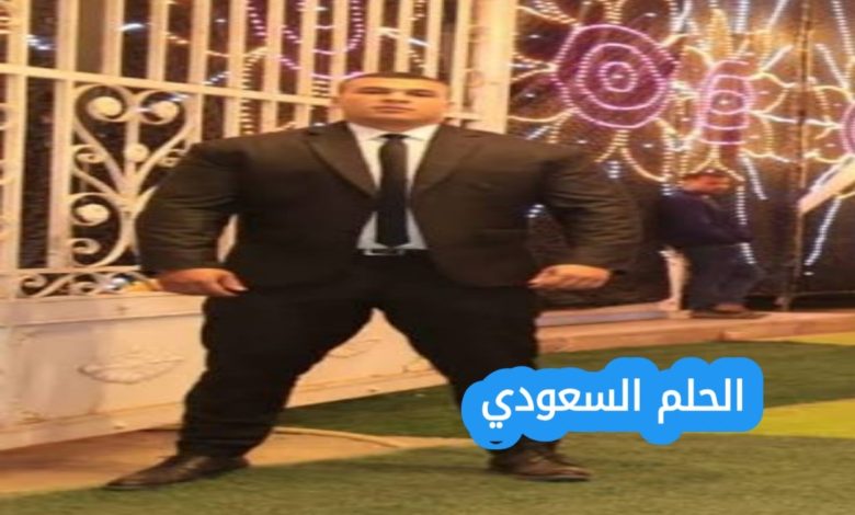 إبراهيم الحبابي ويكيبيديا