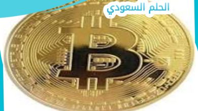 لماذا تخاف بعض الحكومات من البيتكوين